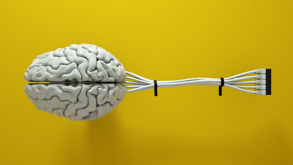 A brain connected to an internet cable.