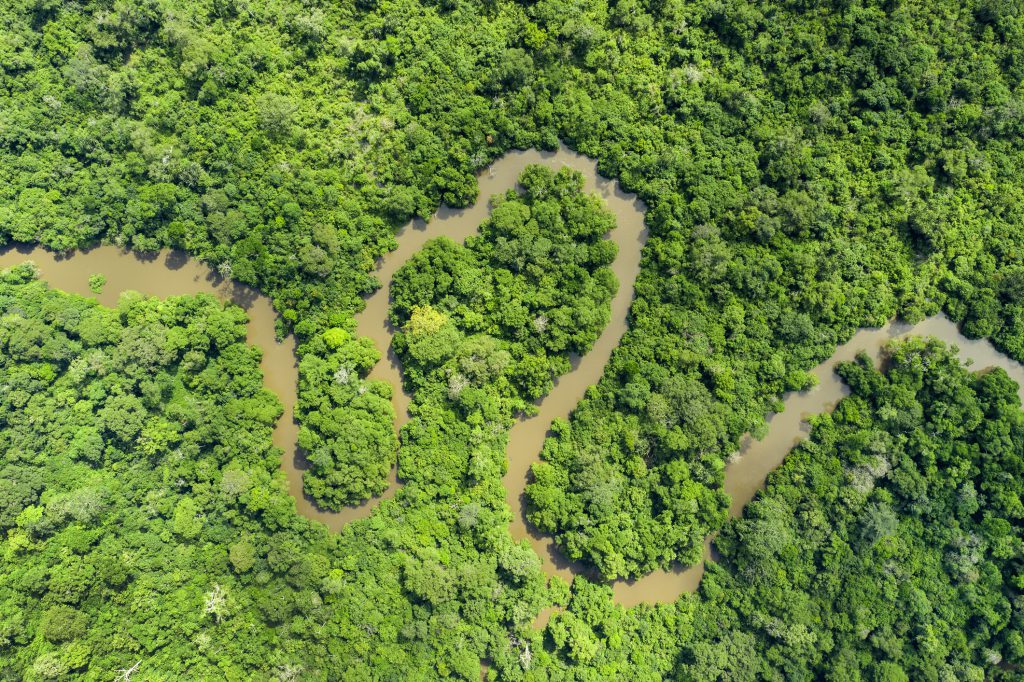 Meandering river in the Congo