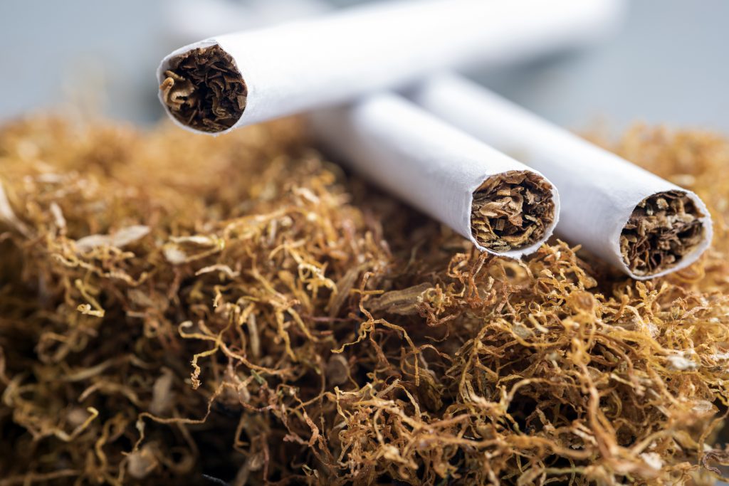 A close-up of cigarettes on a bed of dried tobacco.