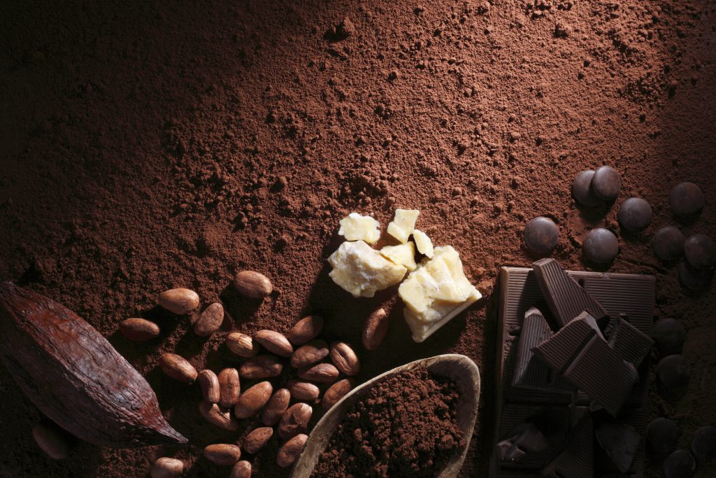 An array of cocoa powder, chocolates of various types, and coca fruit.