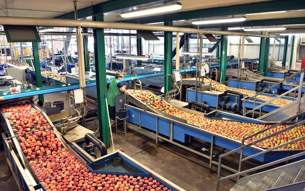 A food processing plant.